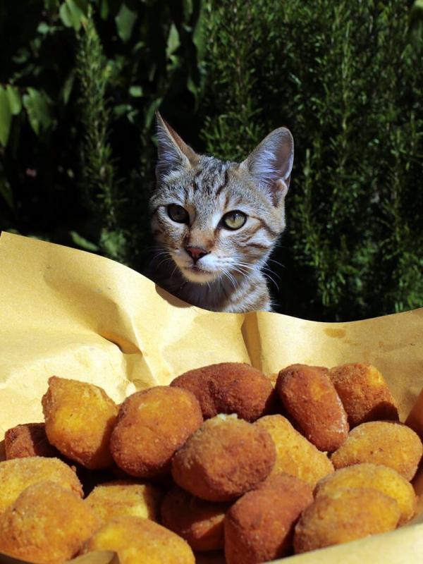 Cuisines des terroirs