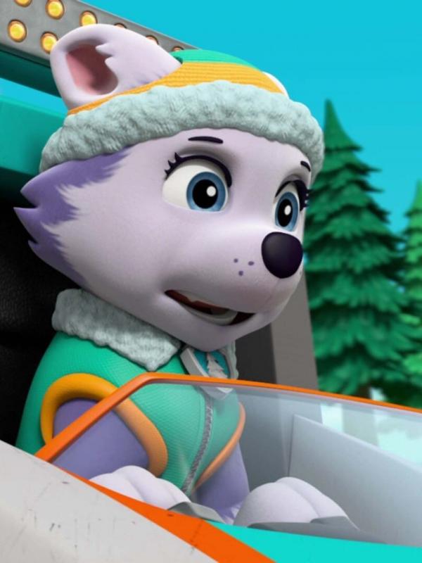 Paw Patrol S5 E8