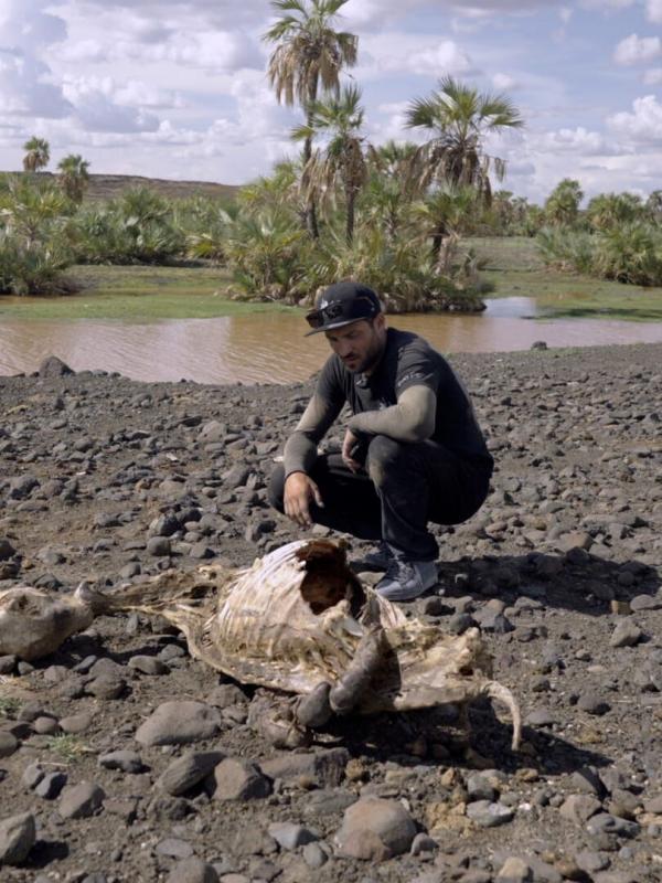 Saype, artiste grandeur nature