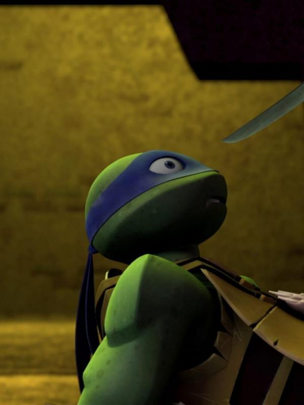 Les Tortues Ninja S1 E13