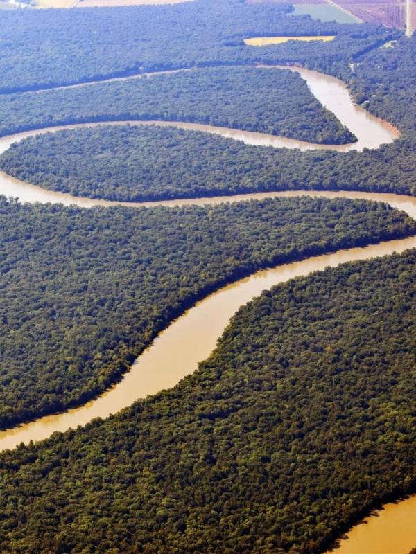 Earth's Great Rivers