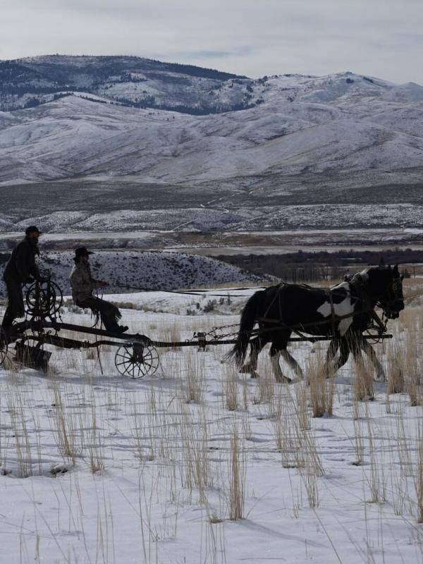 Seuls face à l'Alaska