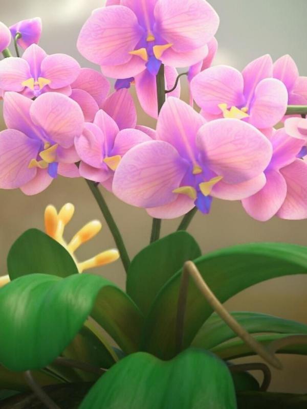 Les as de la jungle à la rescousse S2 E42