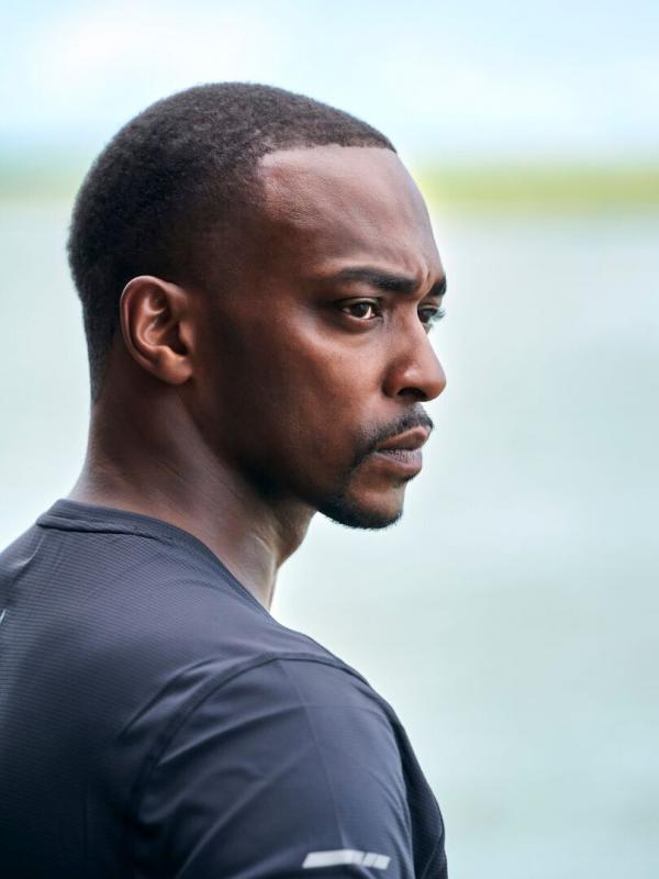 Anthony Mackie à la rencontre des requins