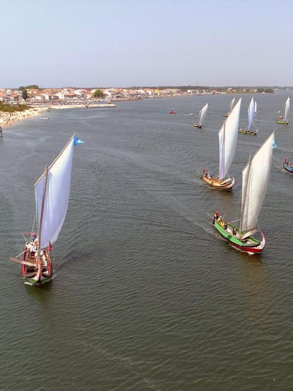 Portugal, les régates de moliceiros