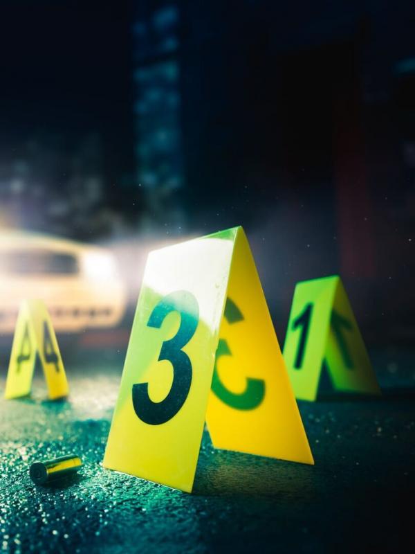 Les visages du crime en région