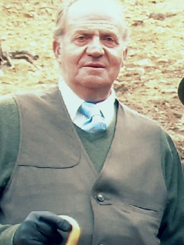 Juan Carlos : la chute d'un roi
