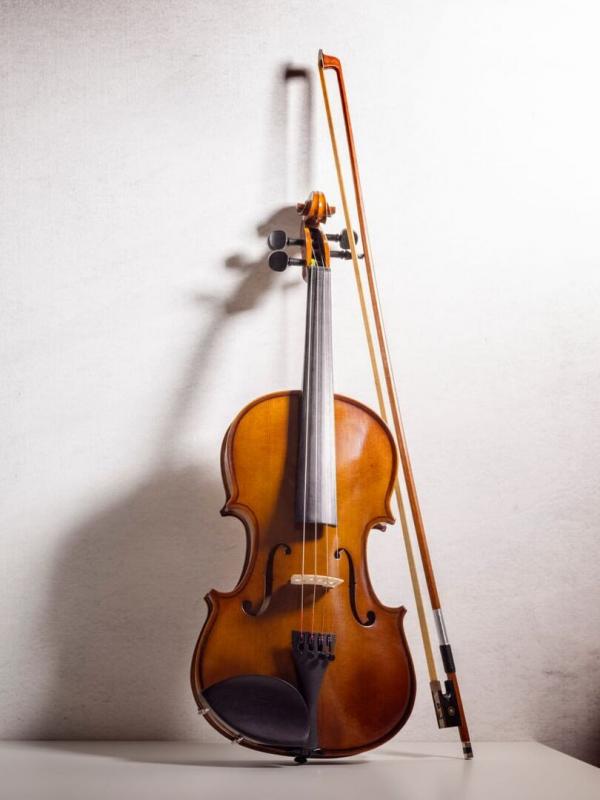 Sonata for violin | Allegretto ben moderato