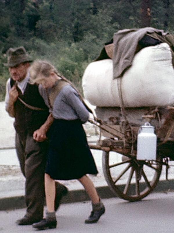 Vivre dans l'Allemagne en guerre