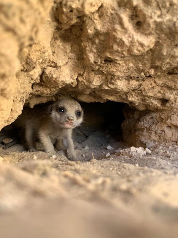 Voyage au centre de la vie