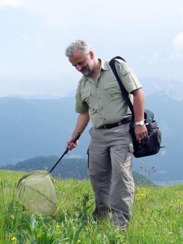Karnische Alpen - Ein Gebirge voller Kostbarkeiten