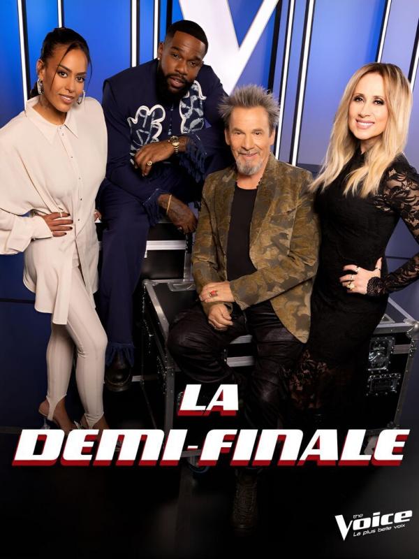 The Voice, la plus belle voix