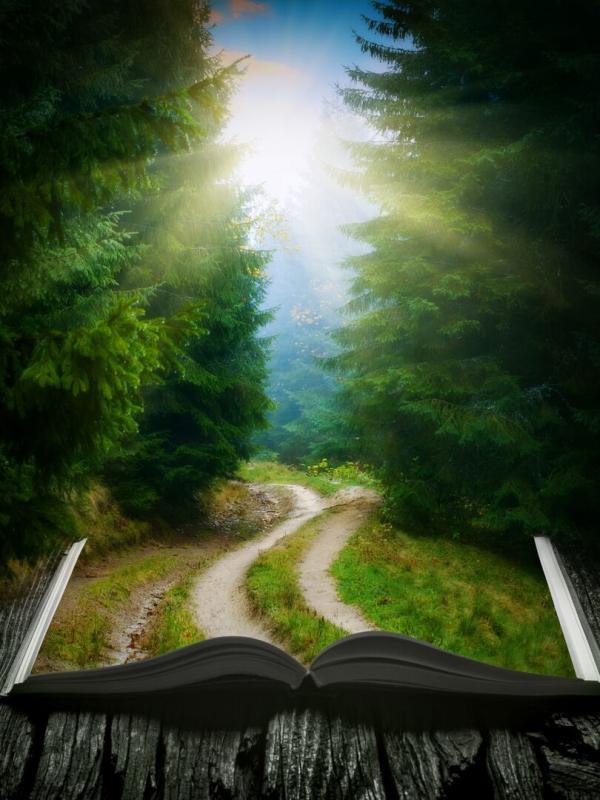 Harry Potter à l'école des sorciers