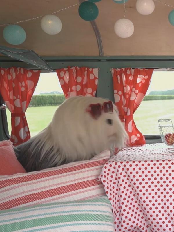 Samson & Marie S1 E53