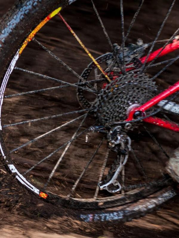 Cyclo-cross : Coupe du monde à Dendermonde