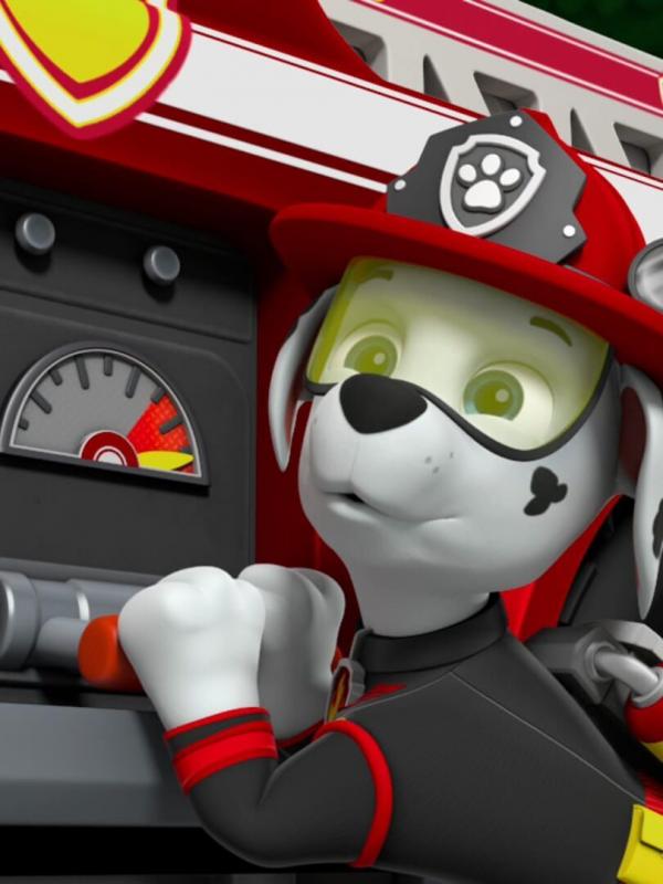 Pat' Patrouille S6 E25