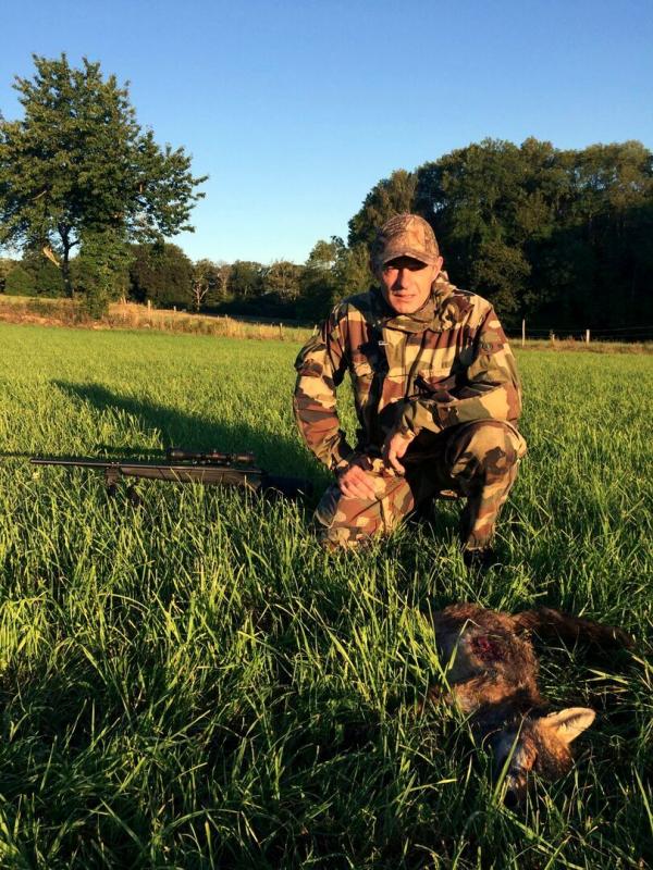 Chasse estivale du renard