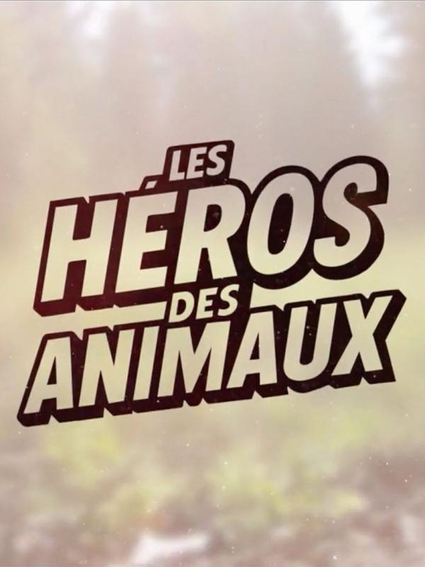 Les héros des animaux