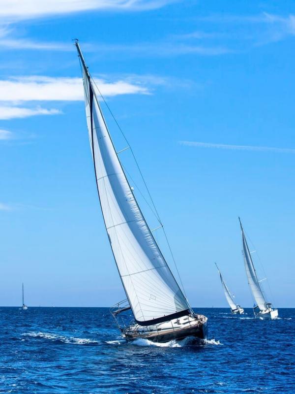 The World Sailing Show