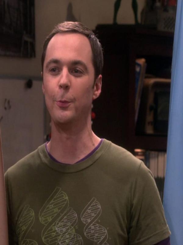 The Big Bang Theory S9 E15