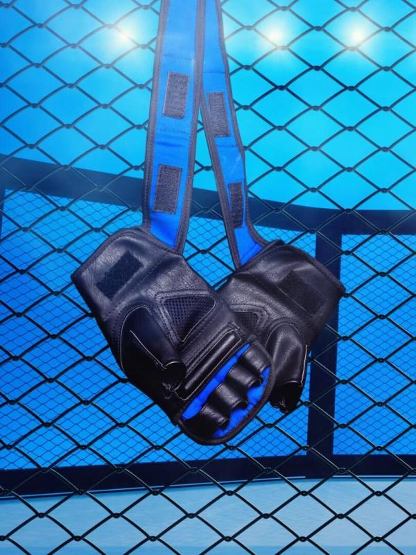 Format UFC