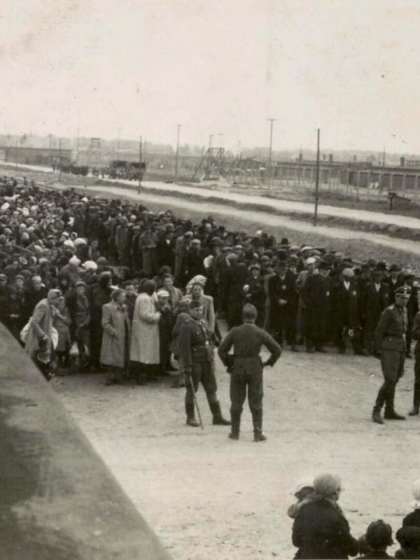 Ascension et déclin du nazisme