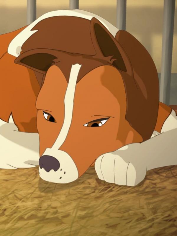 Lassie S2 E25