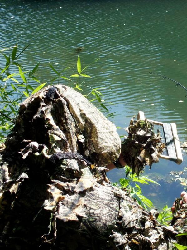 Des carpes au bout des doigts