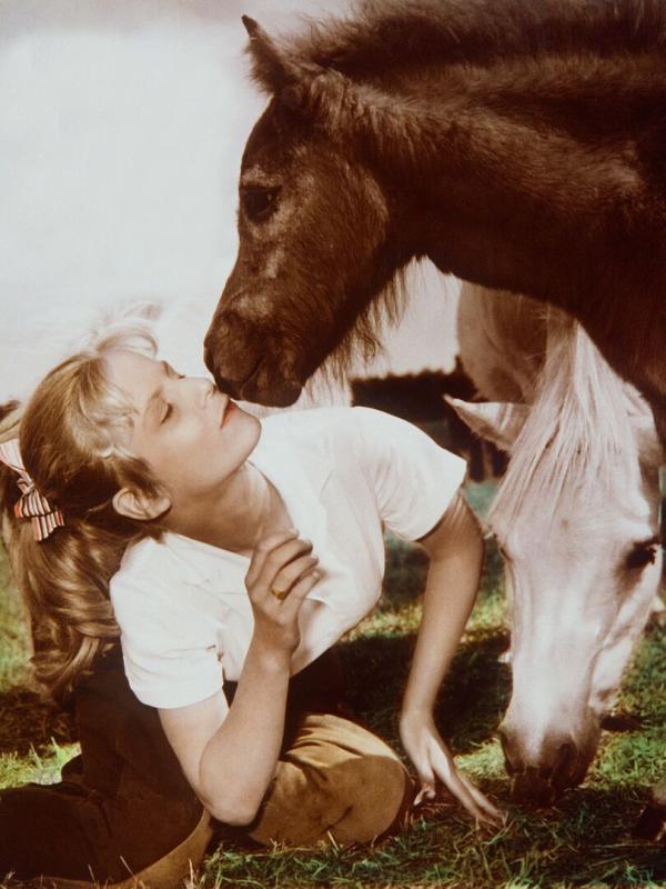 Hochzeit auf Immenhof