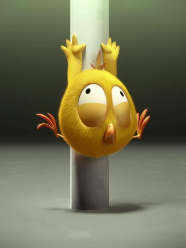 Where's Chicky? S1 E29