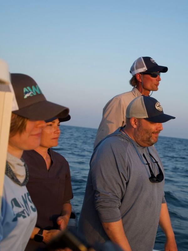 Baby Sharks in the City