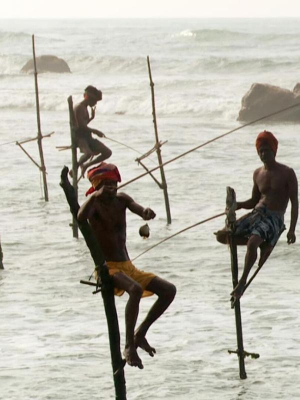 Des trains pas comme les autres