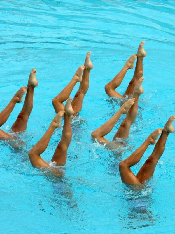 Equipe technique open