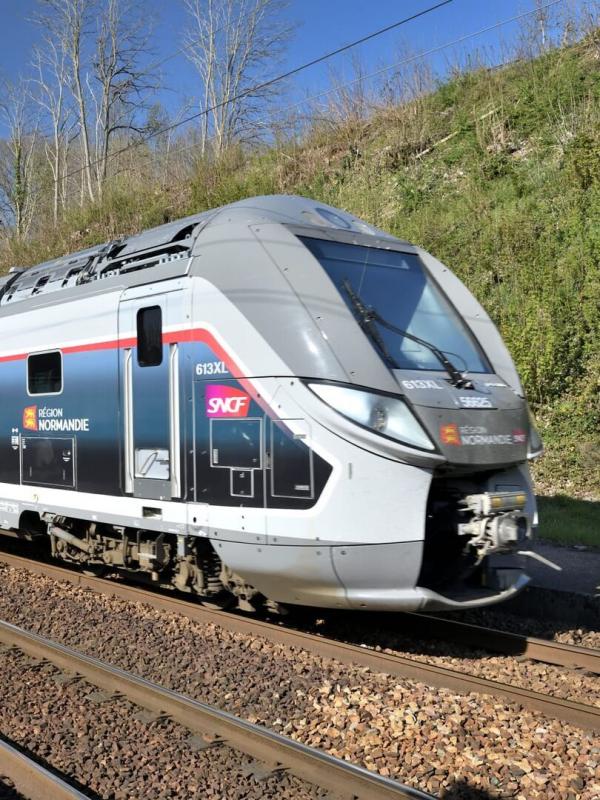 Complément d'enquête