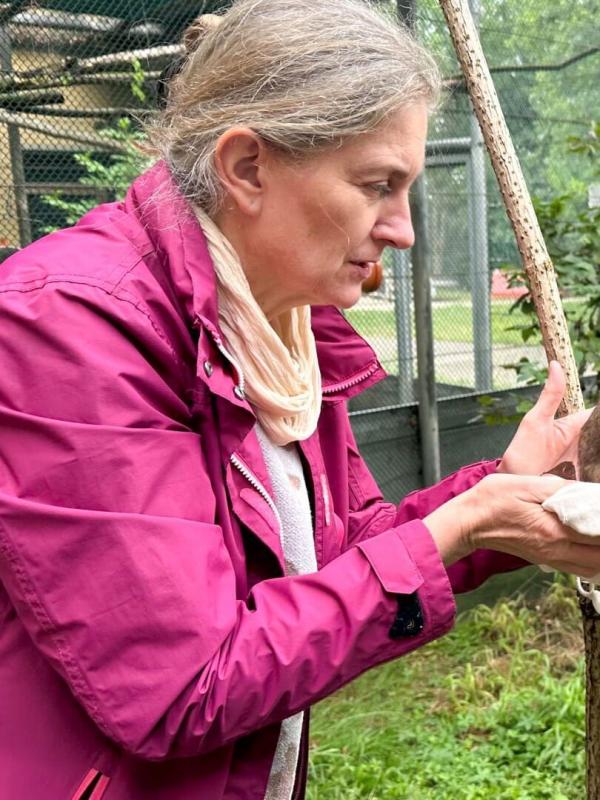 Anna und die wilden Tiere