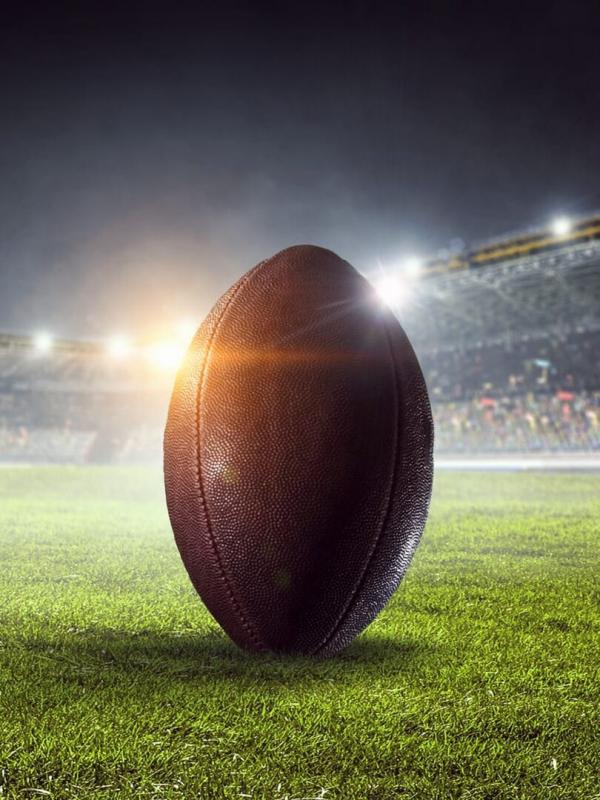 Ours (Toulouse) - Centaures (Grenoble)