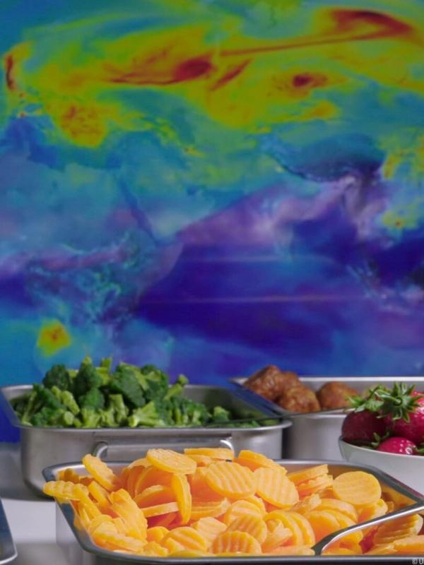 Climat : mon cerveau fait l'autruche