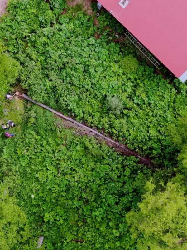 Habitations en péril