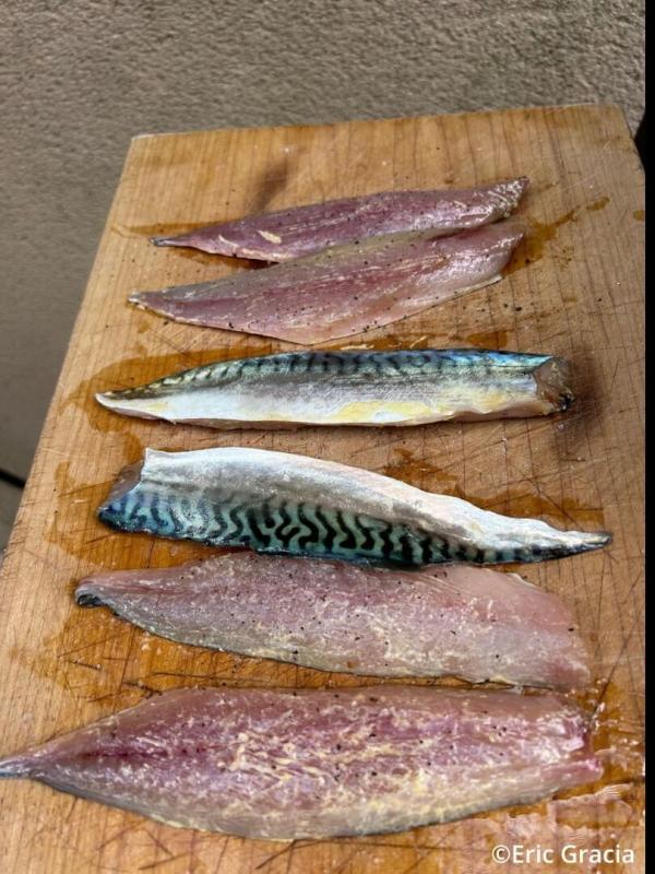 Label Pêche en Camargue