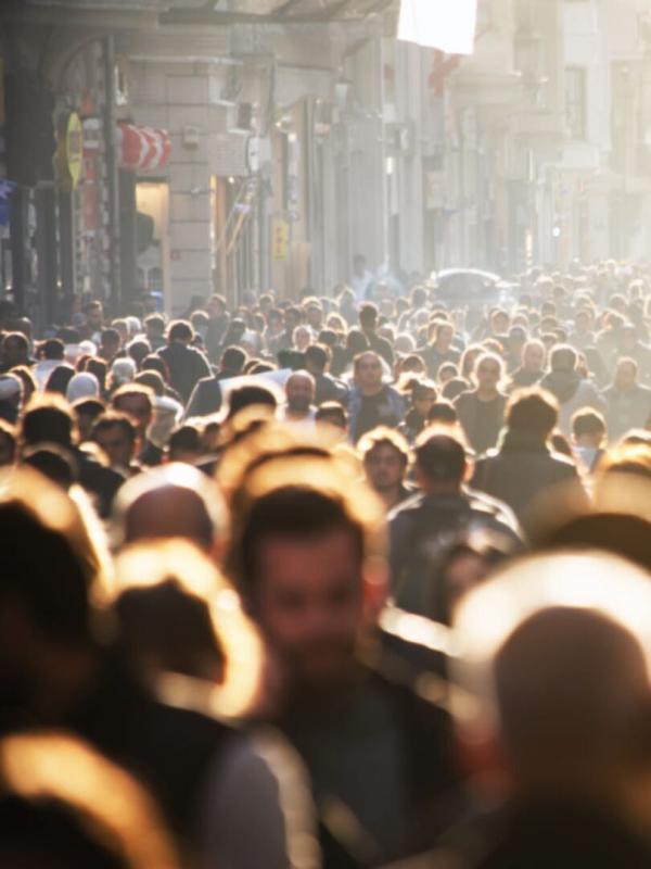 Réussites : le portrait