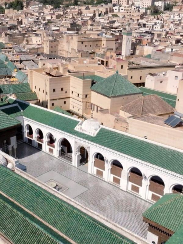 Les trésors oubliés de la médecine arabe