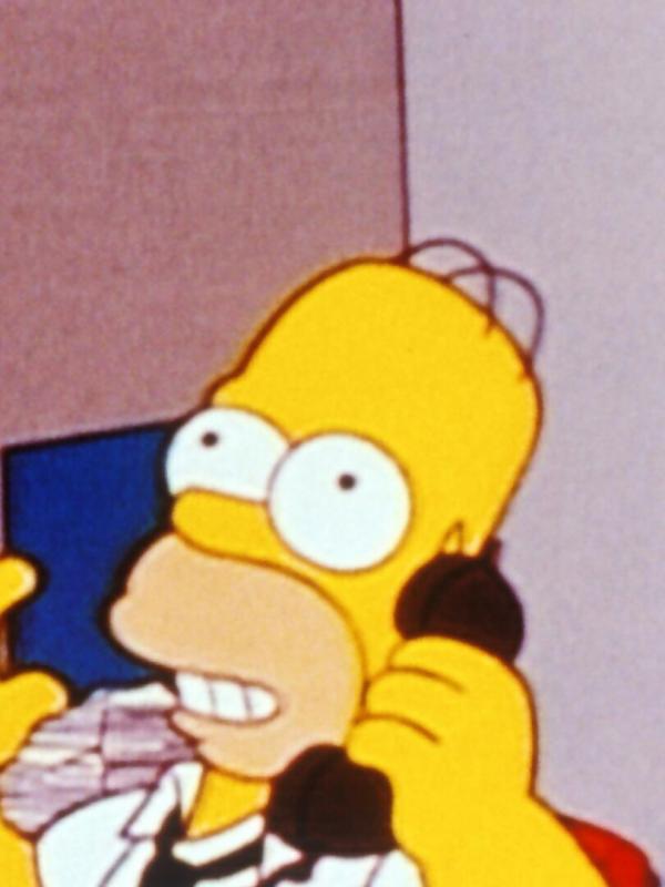 Les Simpson S9 E22