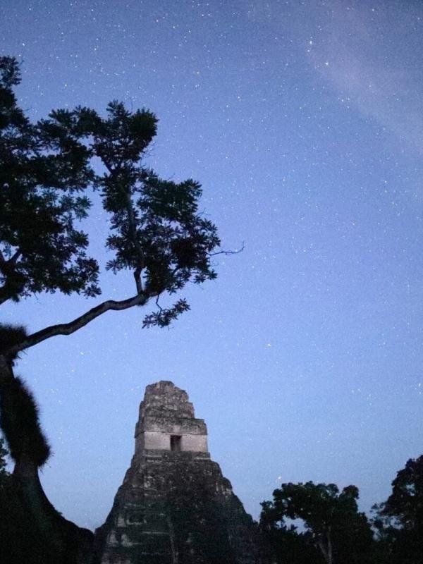 Les mystères de la dynastie des Serpents Mayas