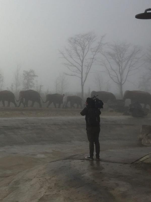 Expédition Pairi Daiza