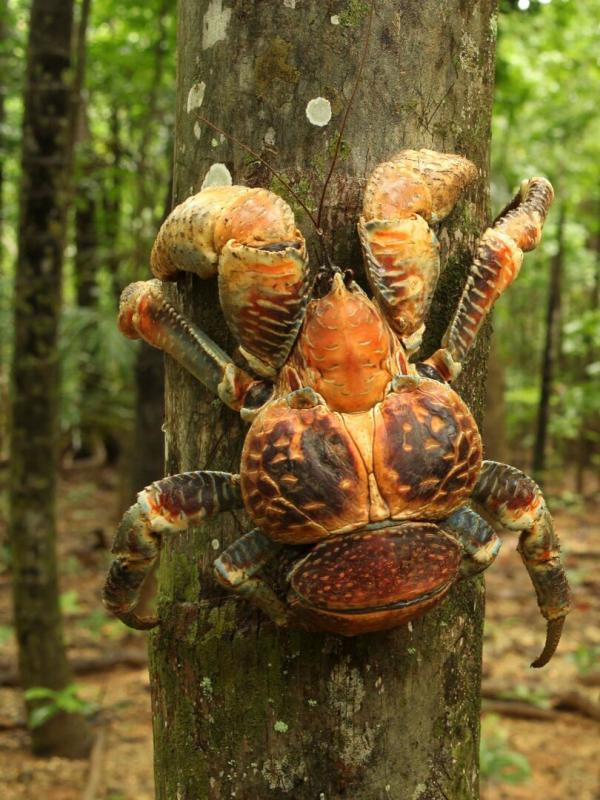 Wonders of Life