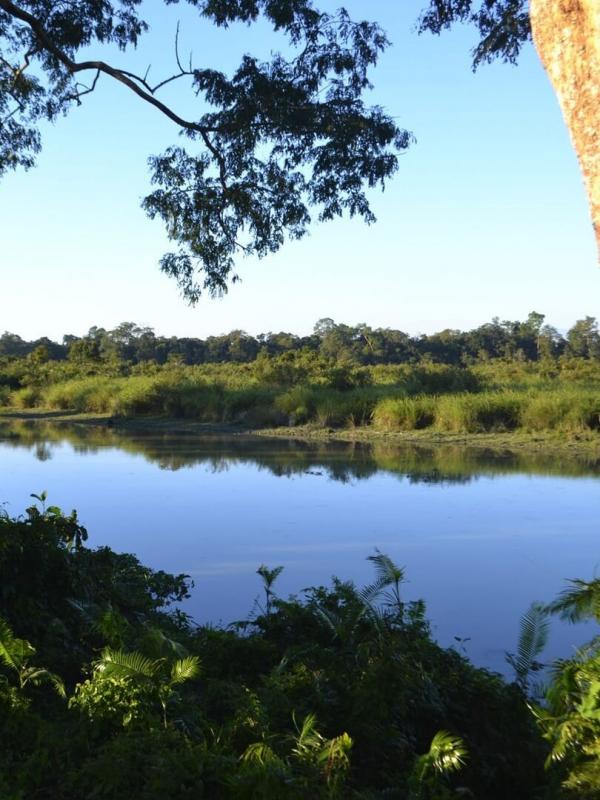 Les plus beaux parcs nationaux d'Asie