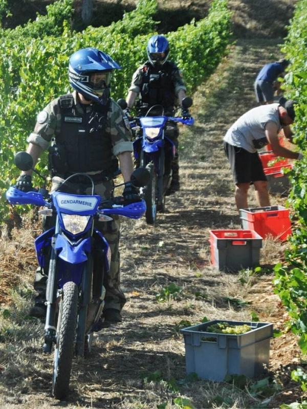 100 jours avec les gendarmes du Médoc
