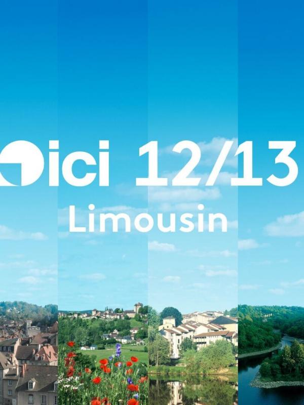 ICI 12/13 - Limousin