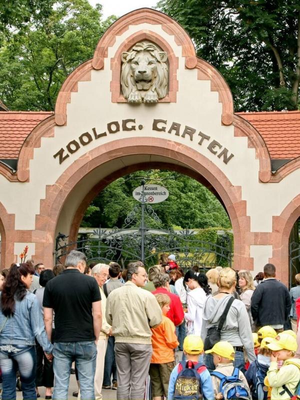 Elefant, Tiger & Co.