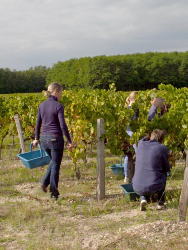 Des vignes et des hommes